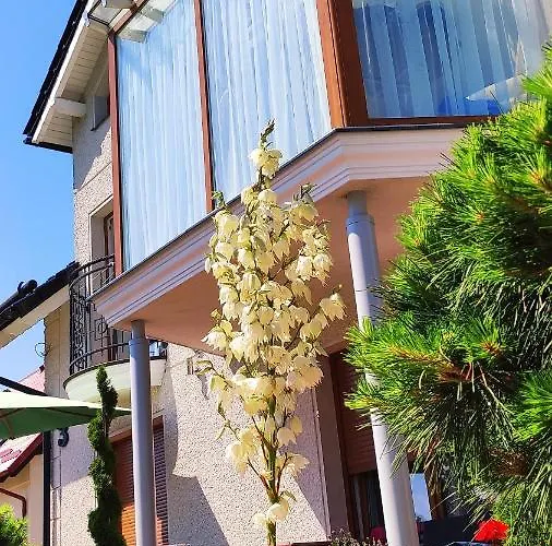 Goscinne Jolka Homestay szállás